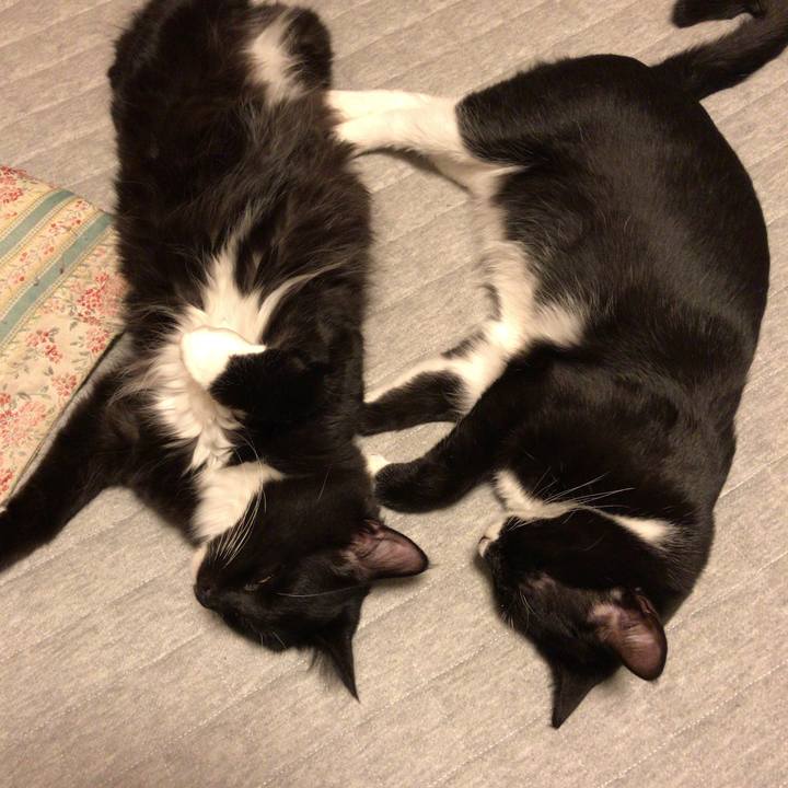 F08da494 22d4 4694 96c5 1b011b2a86d7