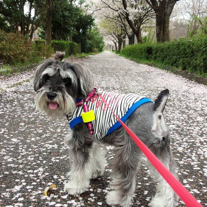 F08dc6a7 c052 4789 a630 cc97053f432d