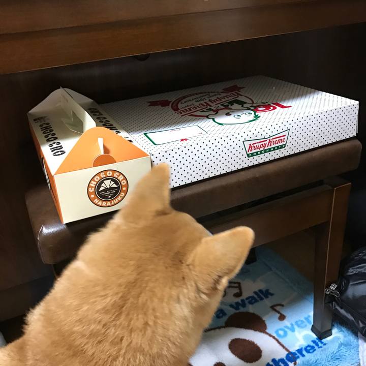 F08e118c 845b 416a bf86 783f310bf040