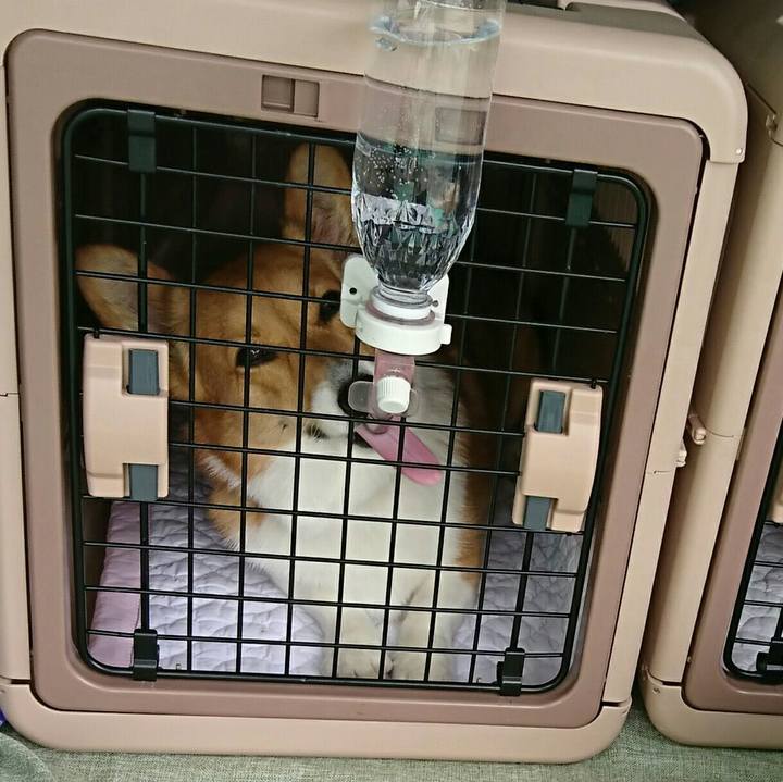 F08e36c1 84dc 40b8 b286 7a89c2c9ca8c