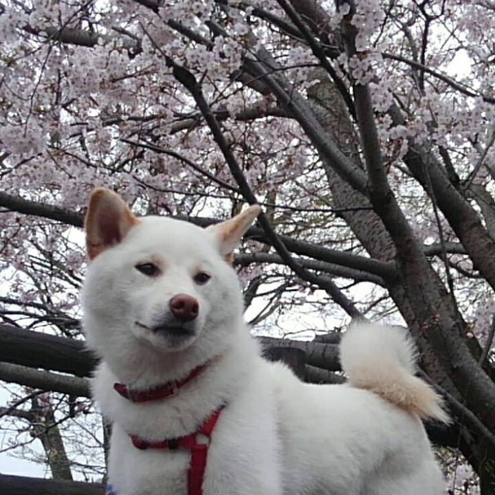 F08e482e 693d 4207 9d3c 913f1dcf1cd7