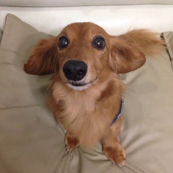 F08fe345 c00a 4b7e b811 b362d7d020e6