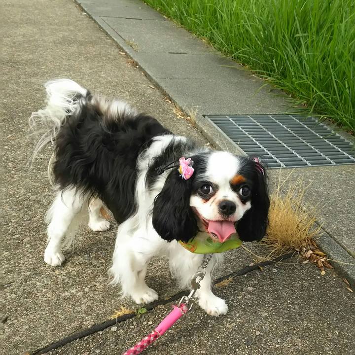 F0901535 e1dd 4e46 a51d 26273218950a