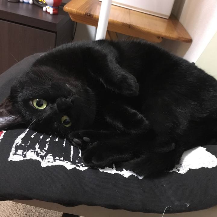 F09016c4 71aa 404b a3f4 6a91ffac9fbf