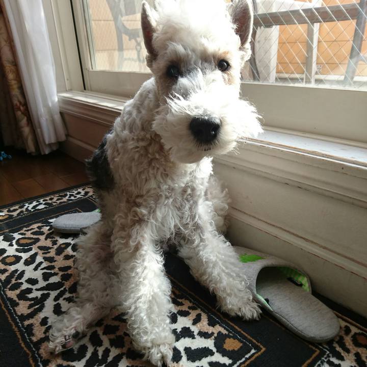 F0908b42 693e 460c 98da 05136e7f863c