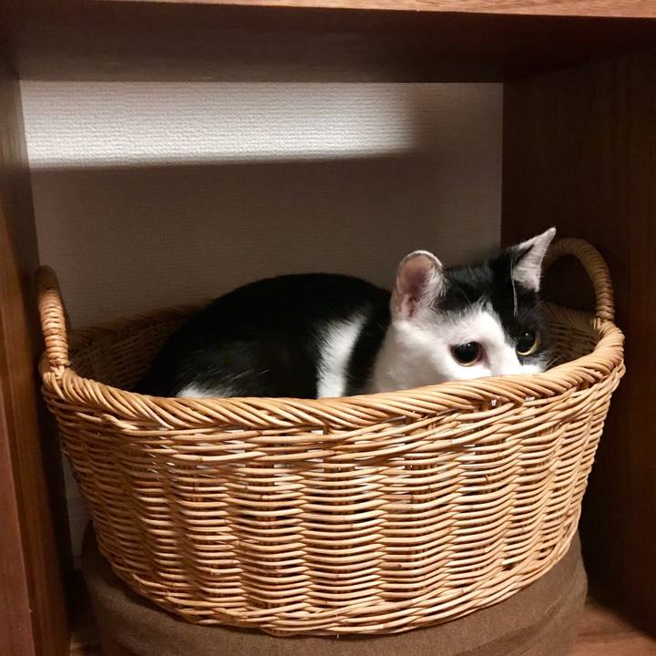 F09111bf 872e 4313 bd8d a86084f85648