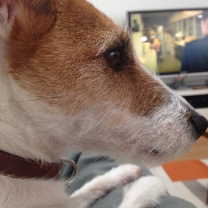 F0913cae 9bf9 4a26 b042 ce9c0cd5a269