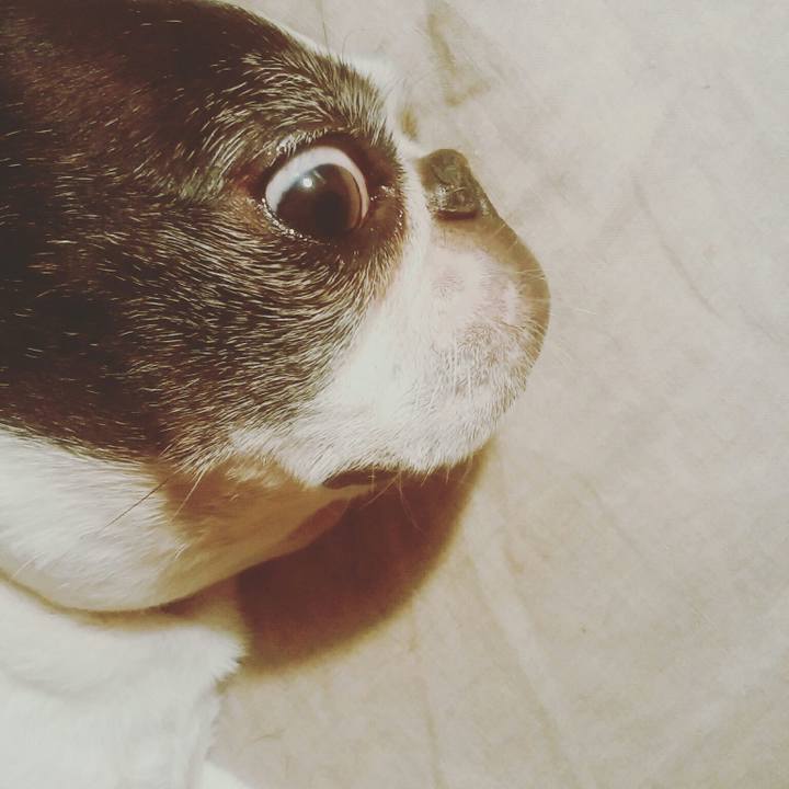 F091b481 cb60 427f b5de 7677936b2dad