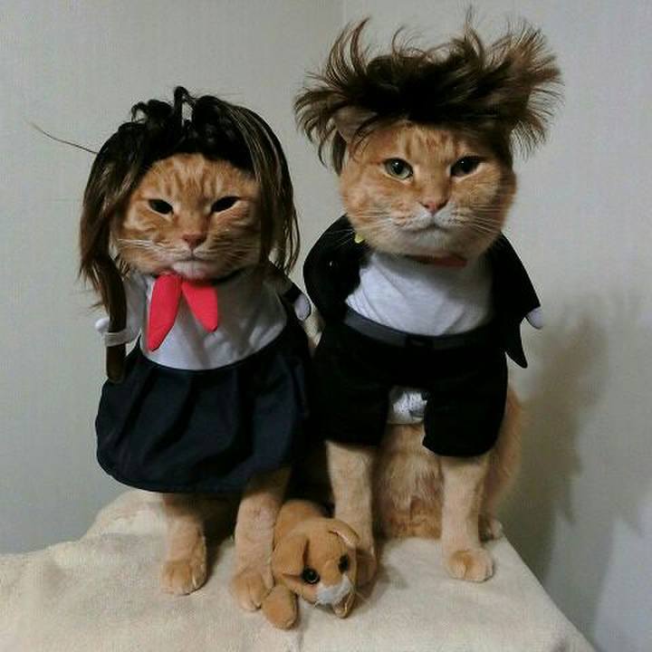 F091e59b 2a9a 42f1 af1e abc05cbd87d2