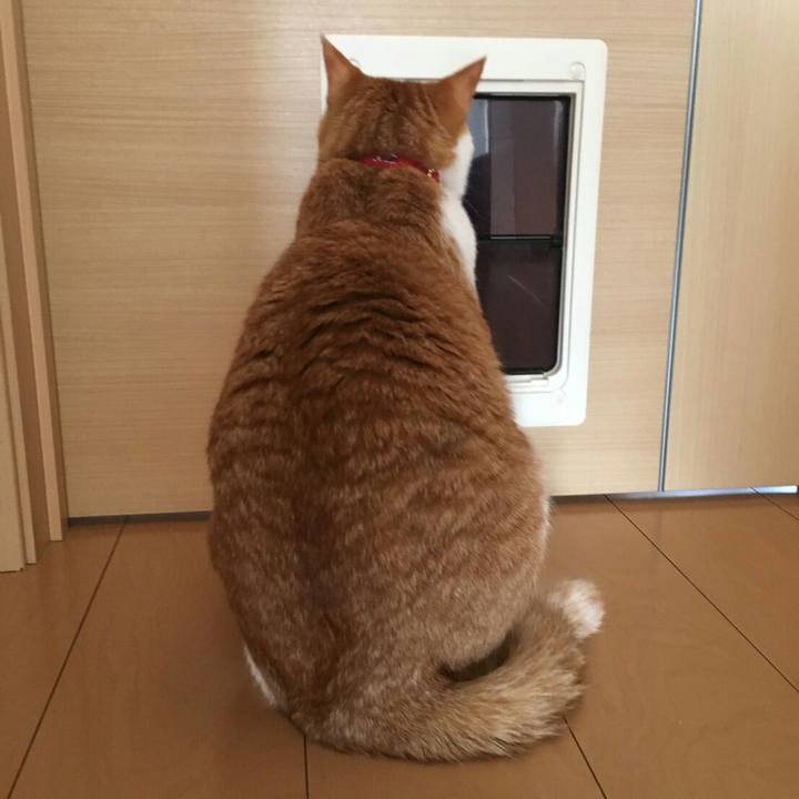 F091f7f4 92c5 4034 b8d3 23f9bb6adee4