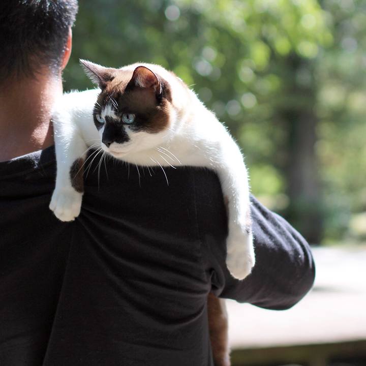 F092000f 668a 4a65 ad2e 581a3e242d02