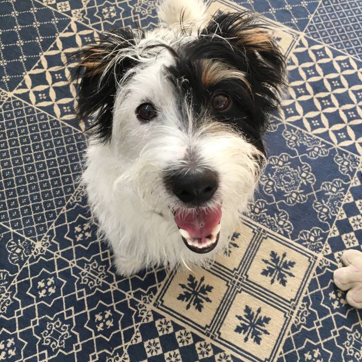 F09206b8 8efc 4cd7 bace 020a95a68022