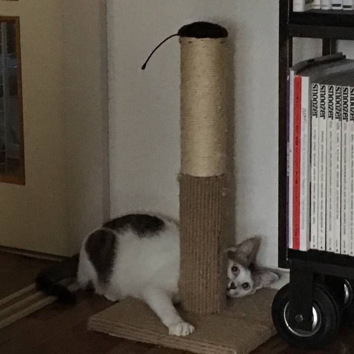 F0920f46 5a6e 4f2f 8b77 7b9b63e09344