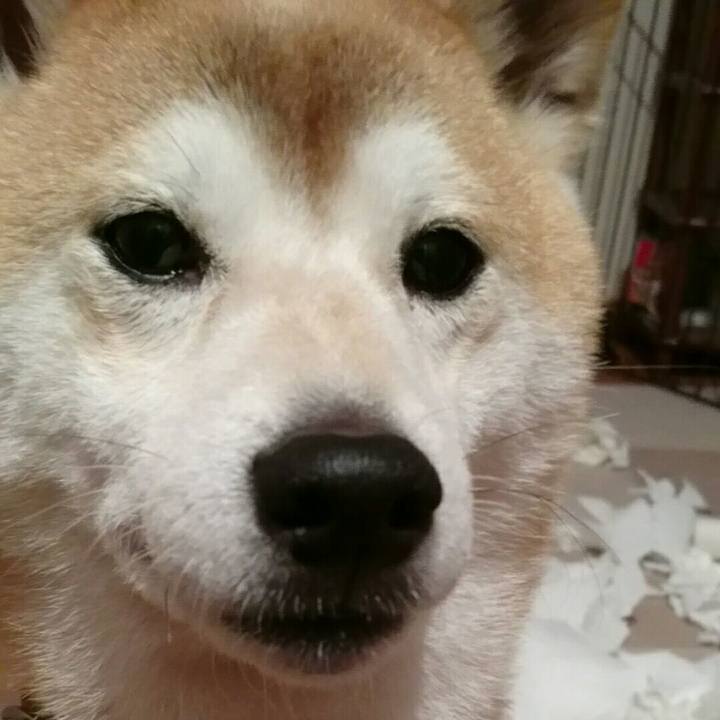 F0921b66 a8e5 4fe7 ba28 6fa44884d5a4