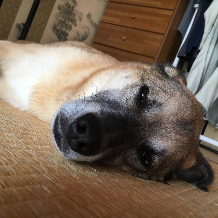 F09239b6 1efe 4556 a676 3c6c2b1eb28e