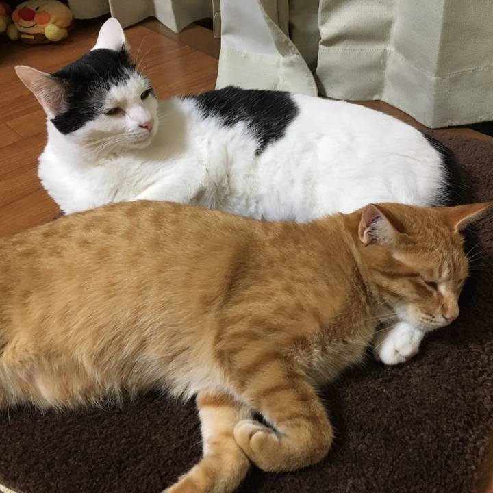 F0935751 e529 4a94 9d0d 13ec0a931bef