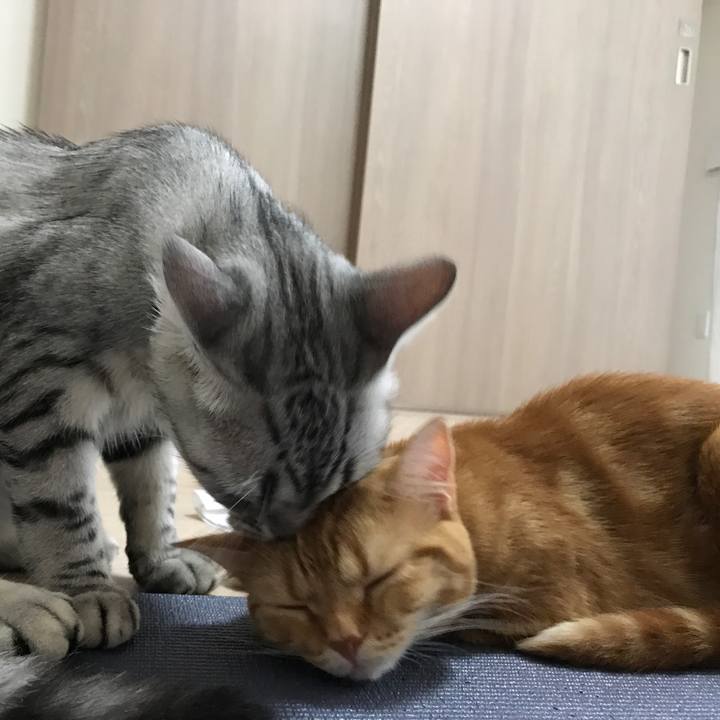 F0937e29 af81 4916 a411 cc30937690d5