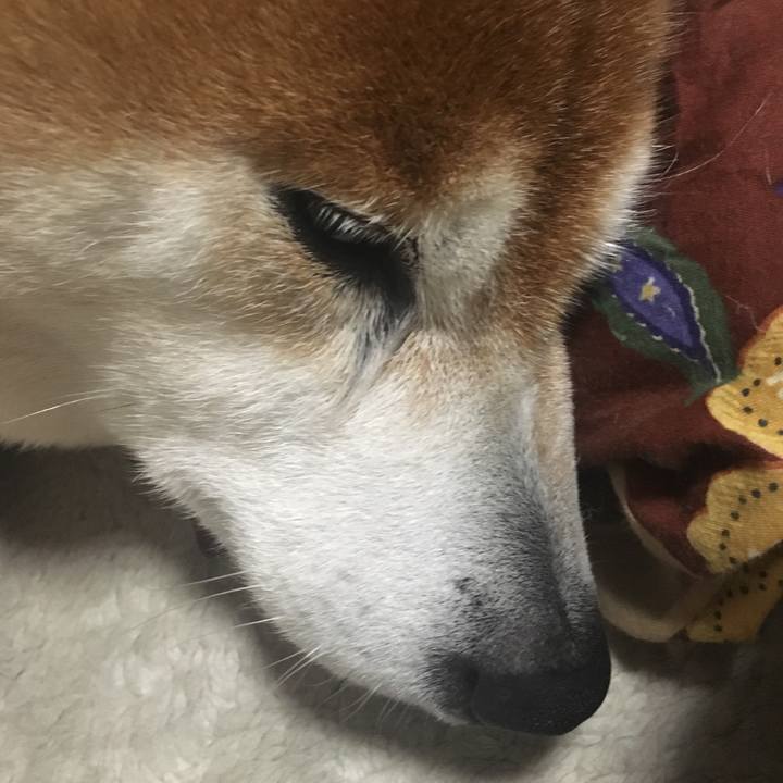 F093a959 b8aa 4d1a 8bef afb26e8cbbfb