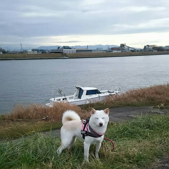 F093a9ae 05e6 4cff 8512 8529c271a5c6