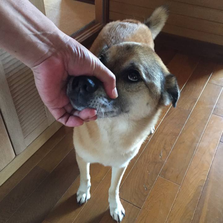 F093fbbe 1585 4f9e 94ac 60f9f1500256