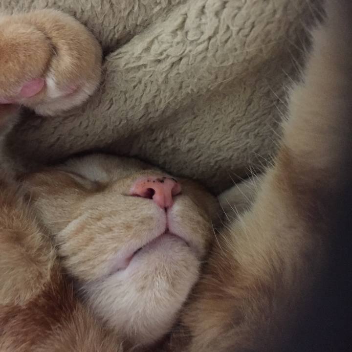 F0944416 ac61 406b b2a1 2d3dd5959a32