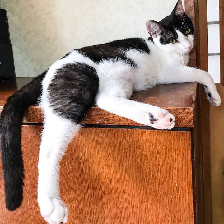 F0944a61 0d62 466b 8d67 9c0dd37fbc98