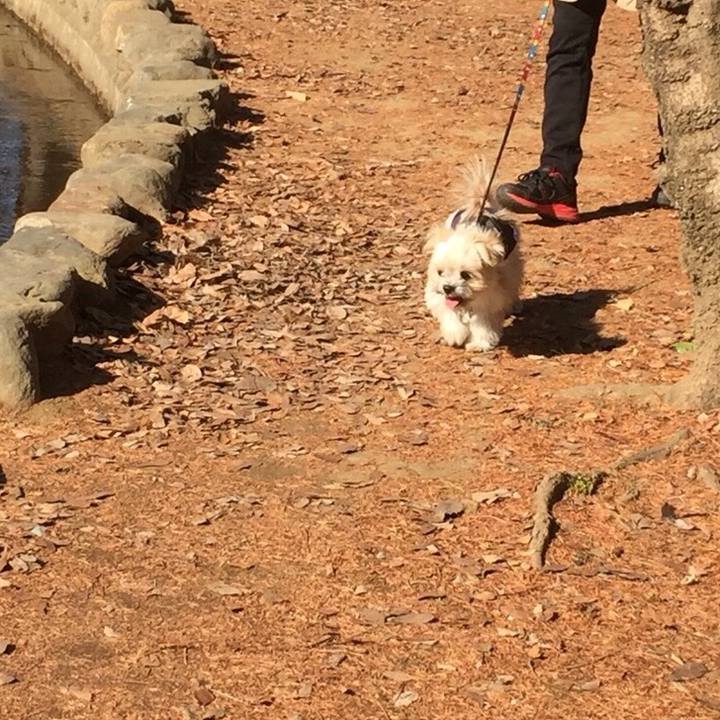 F094ac53 3eb1 4b9f a8c1 4f3d103215e8