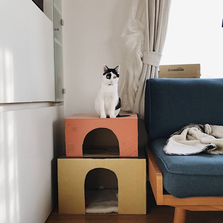 F094aece 4b80 4e57 a542 e3c68b3cd8b1