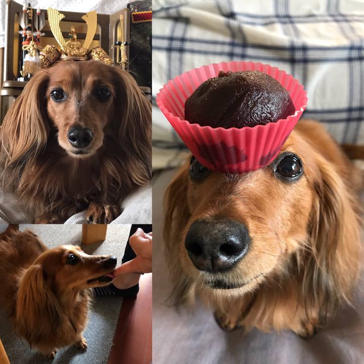 F0959511 437f 4488 9741 a540b36a6e4d