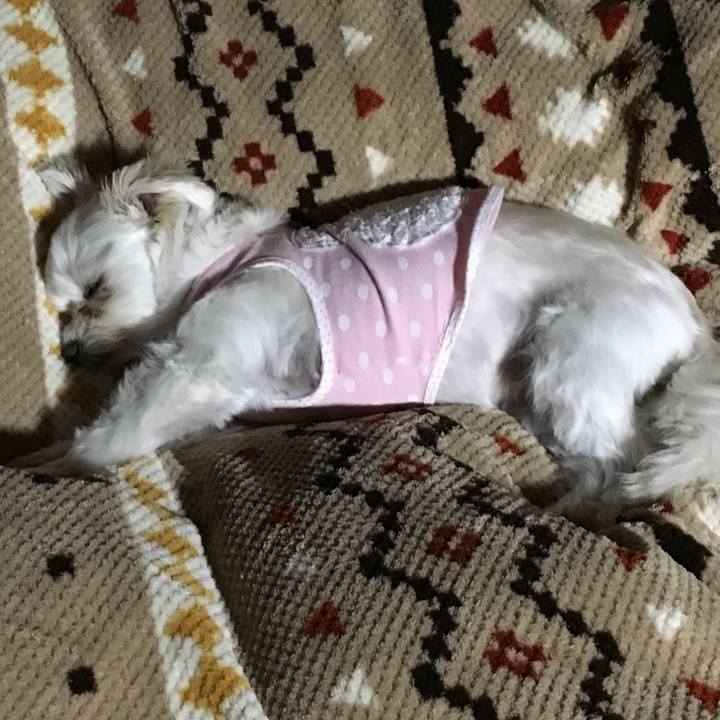 F0963575 d641 4e8a a191 eb2f5356f157