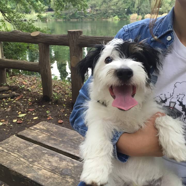 F0964bb1 cec9 4ab2 8be2 82eeadba79c8