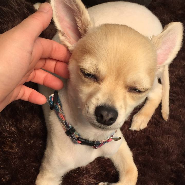 F09678bf 3e64 48fc b501 95a928cd88c3