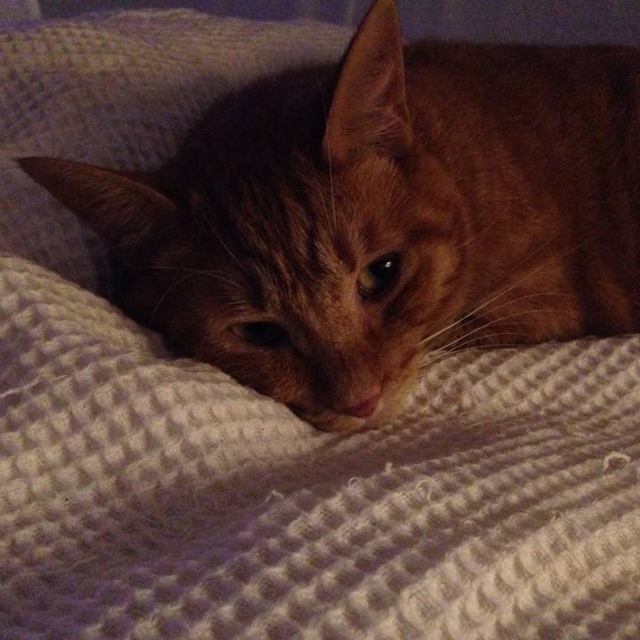 F096bd54 0e1e 4a90 a52a 4b85f38d2b4c