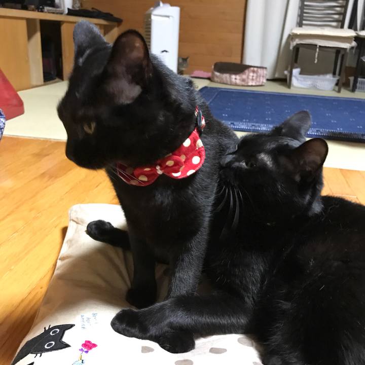 F09747bc 19f0 4a13 b1f5 b46019d6e024