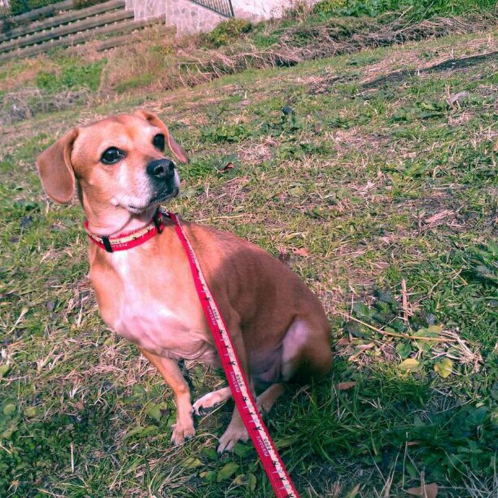 F097c375 454c 4b59 b966 47290ef76660