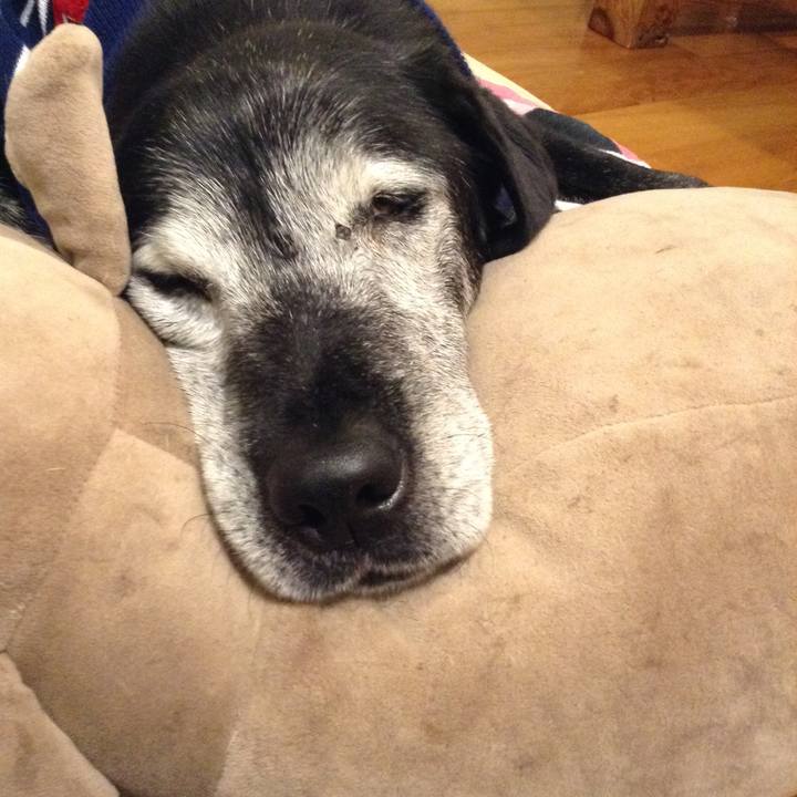 F0980751 0bc1 46c5 b0e6 ce77ea60b32f