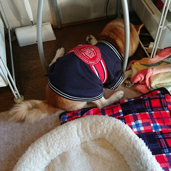 F0985764 2bb1 4a8f bce6 82a3a3f762ed