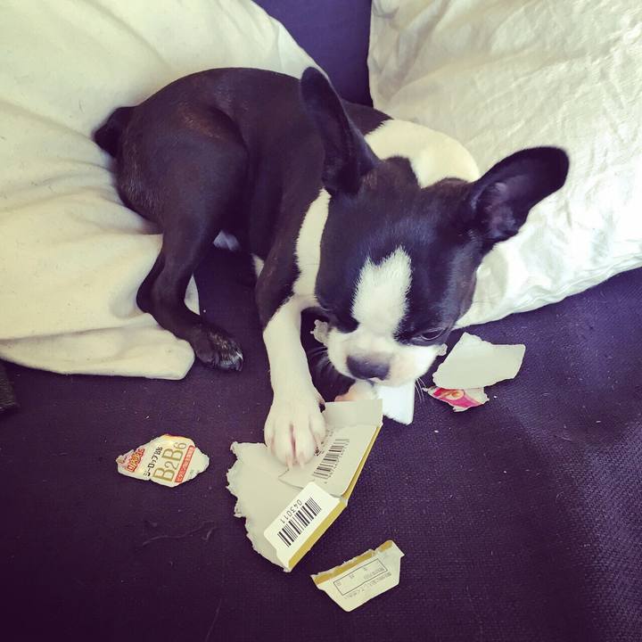 F0988428 7103 4768 b15d b81637e27432