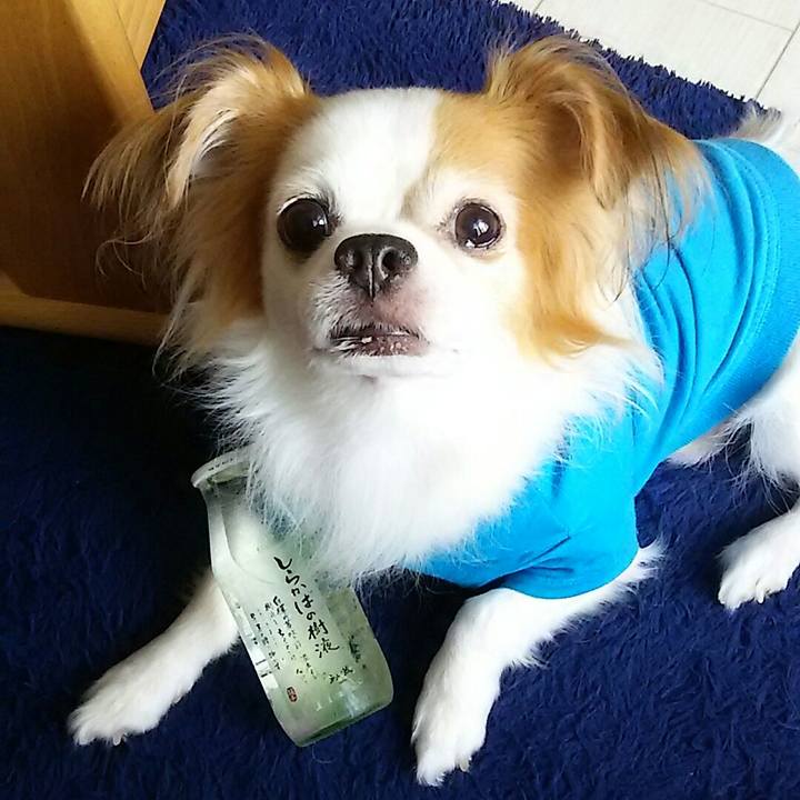 F0993184 8bc1 466c 8ab0 4c87603002f6