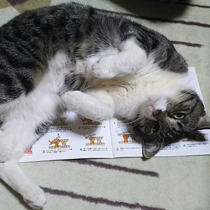 F099b501 7be9 424b acbc 40dd312dbca9