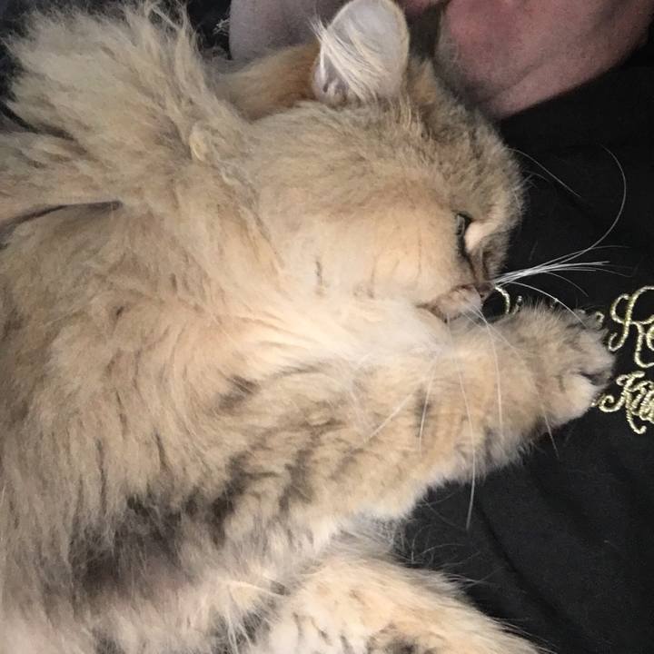 F09a0e09 7fe0 44b0 8d9f 7b033dd1f65b