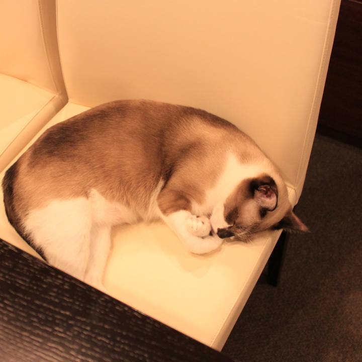 F09a1421 170a 4ede 8505 3f6c5755711e