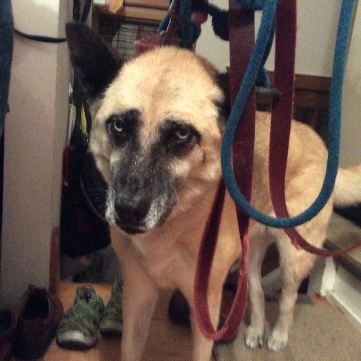 F09a2fb3 fa83 45b6 9140 57baf7be46d3