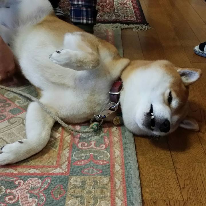 F09a7b53 b884 4868 ab2d 938a6e573c3e