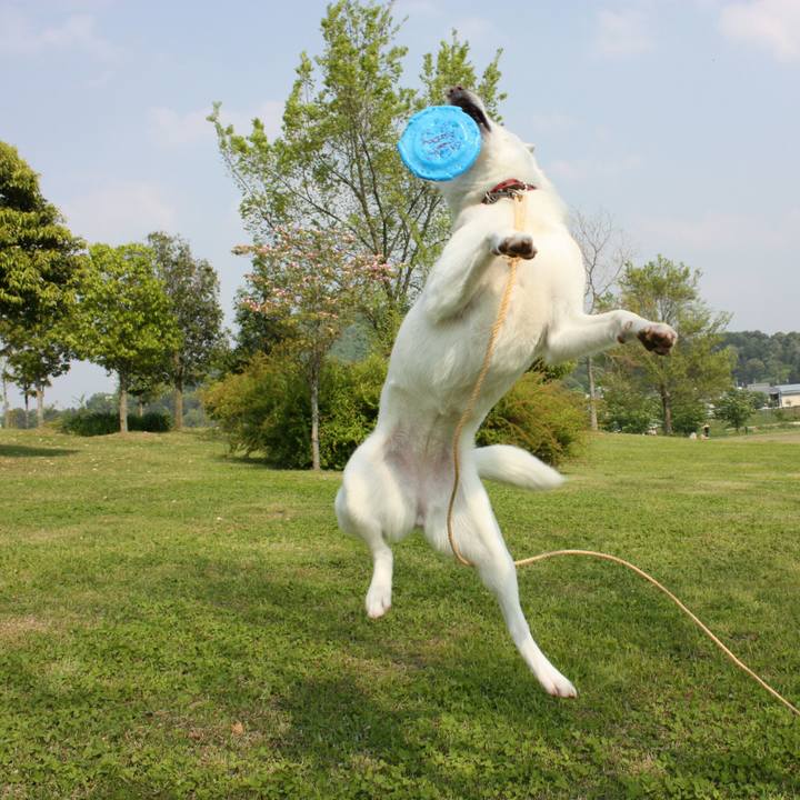 F09ac807 9548 42d0 ae7e f10b67a3769d