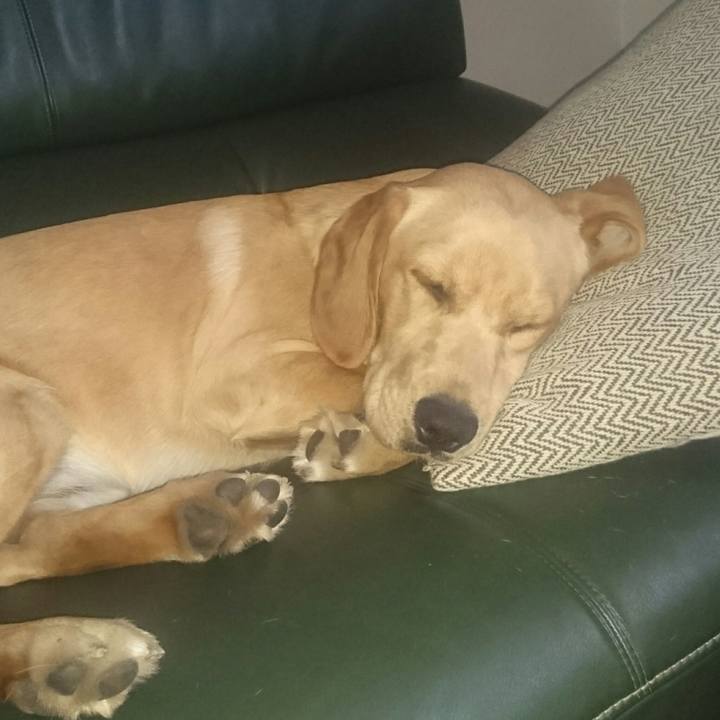 F09bca15 0c1f 4378 864d 7d6301ae089d