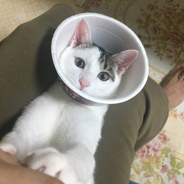 F09bd3f9 d6a1 4351 a06f 6a0d8e8b115f