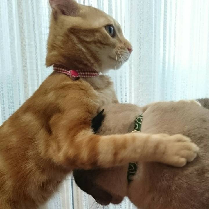 F09d1f46 05d8 45c4 98f3 f36e7f78cdab