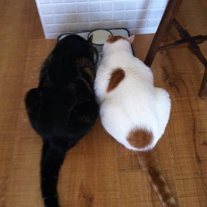 F09d956c 71b3 46bd be69 1bc240fdc2b6