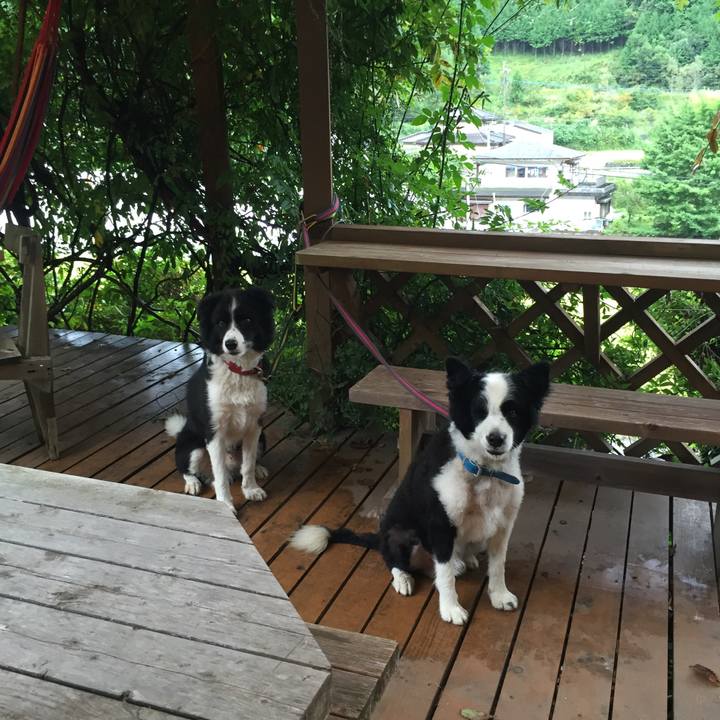 F09d97cf 2560 4eeb 8daf 6ec1755e7e29